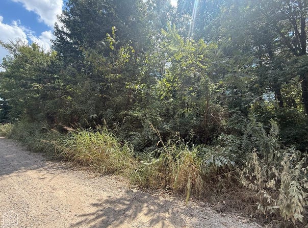 3 County Road 320, Bono, AR 72416