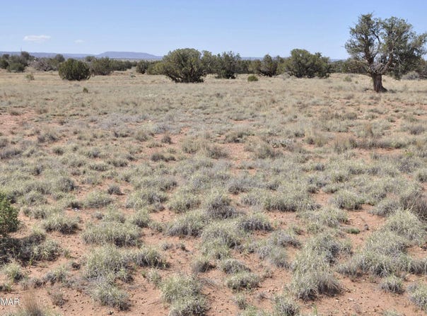 29B N9005, Concho, AZ 85924