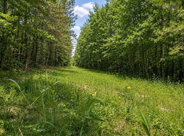 AL-17, Millport, AL 35576