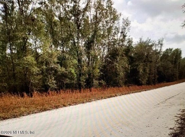 SE 41ST, Trenton, FL 32693