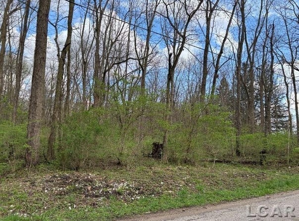 Black Highway, Adrian, MI 49221