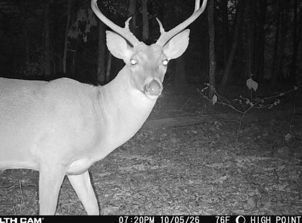 S 4790 Rd, Muldrow, OK 74948