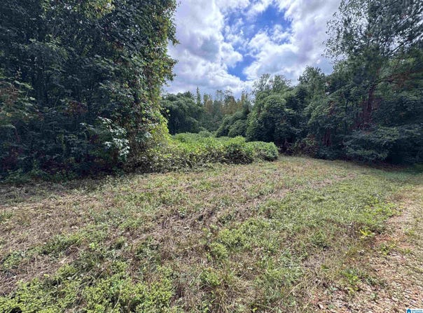 ROBIN LANE lot: 0, DELTA, AL 36258