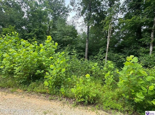Ted Logsdon Road, Clarkson, KY 42726