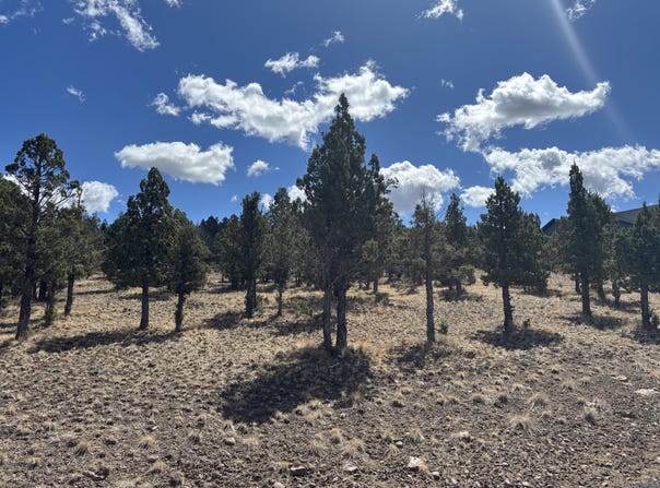 13092 SE Ethan Loop, Prineville, OR 97754