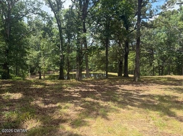McBride Cemetery Road, Sardis, TN 38371
