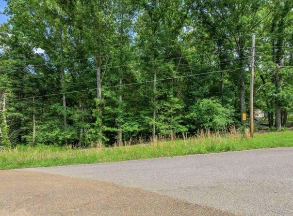 1 BEECH Loop lot: 1, Somerville, TN 38068