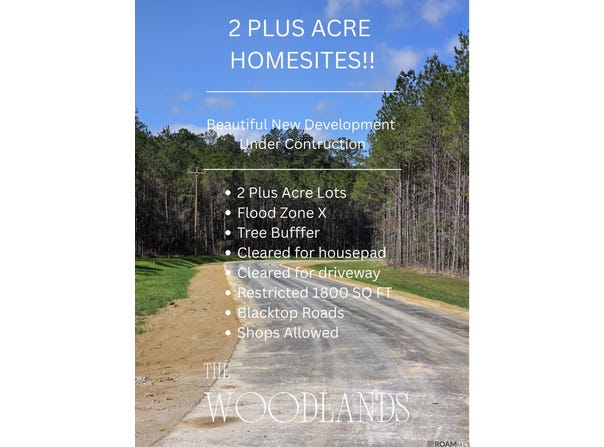 Copper Pass lot: 31, Livingston, LA 70754