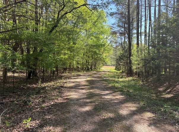 11338 Monterey Rd, Eads, TN 38028