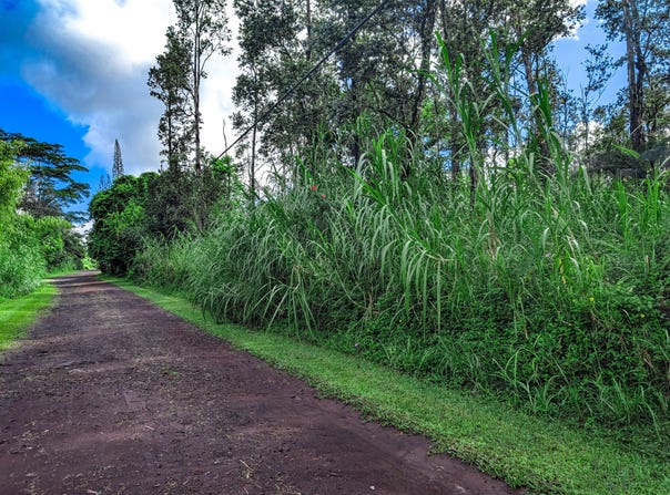COOK ST, Pahoa, HI 96778