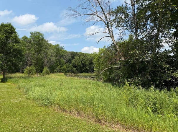 Hart Avenue NW, Annandale, MN 55302