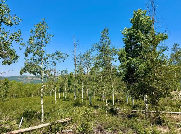 10775 E TANGLEWOOD Dr, Heber City, UT 84032