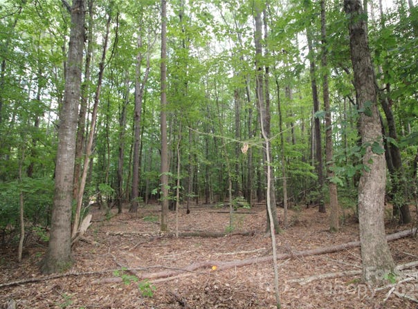 Lake Wylie Drive lot: 4, Rock Hill, SC 29732