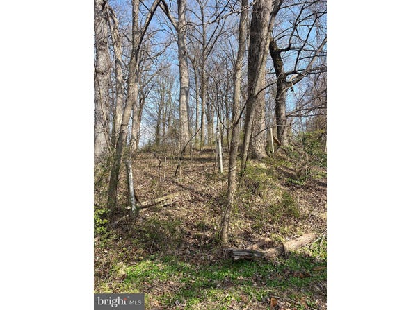 STEFFENY Road, RANDALLSTOWN, MD 21133