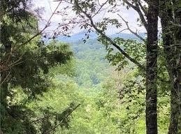 Hunters Ridge Road, Jasper, GA 30143