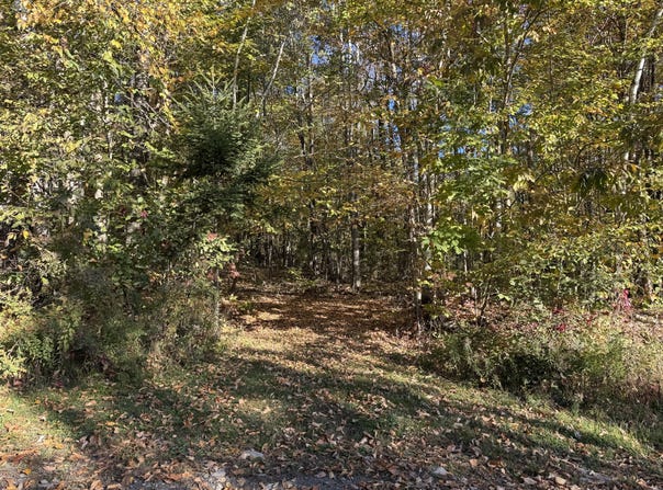 Ross Hill Road, Saint Albans, ME 04971