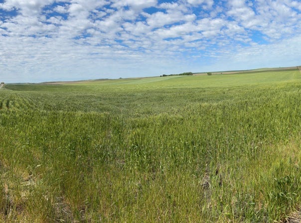 281St 300 Ave, Winner, SD 57580