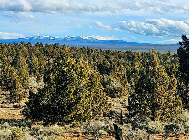 Merrill Road, Brothers, OR 97712