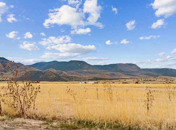 1615 W SUNFLOWER LN 4, Fillmore, UT 84631