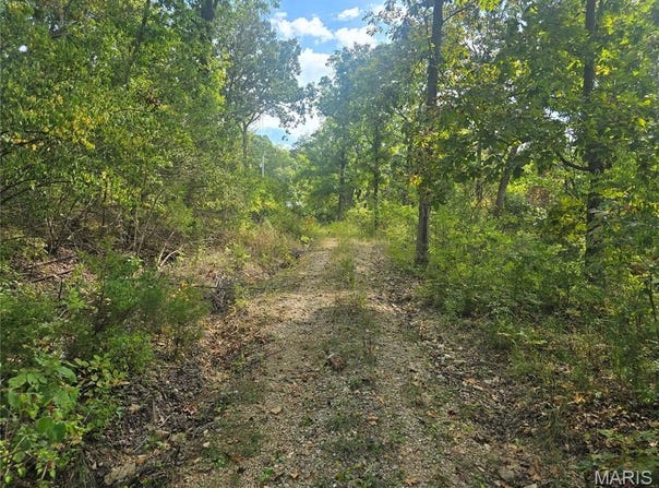 8607 John McKeever Road, Pacific, MO 63069