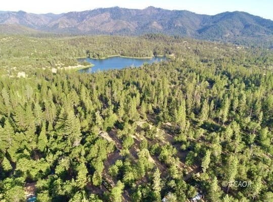 120 Shady Acres Ct, Hayfork, CA 96041