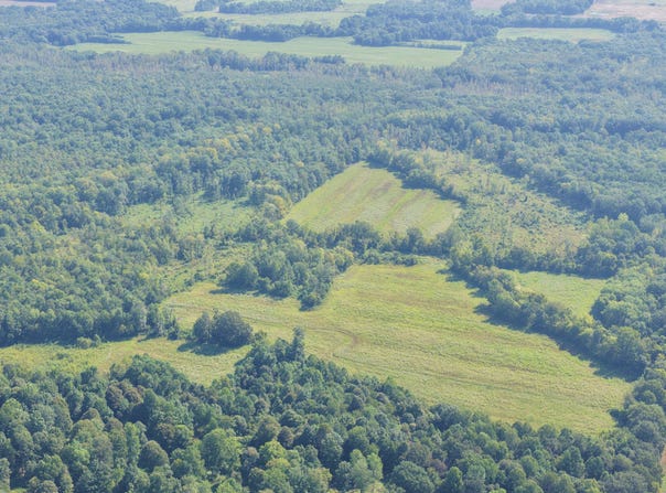 Dogtown Road, Benton, KY 42025
