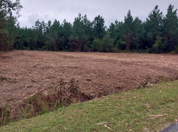 Harper Rd. lot: 7&8, Marion, SC 29571