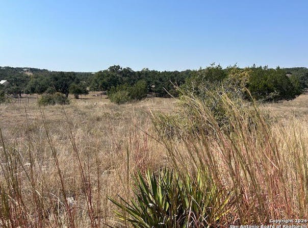 134 George Dolson, Blanco, TX 78606