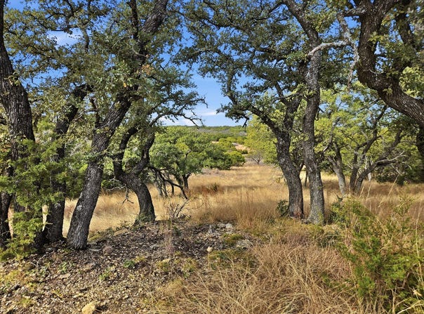 County Road 162, Evant, TX 76525