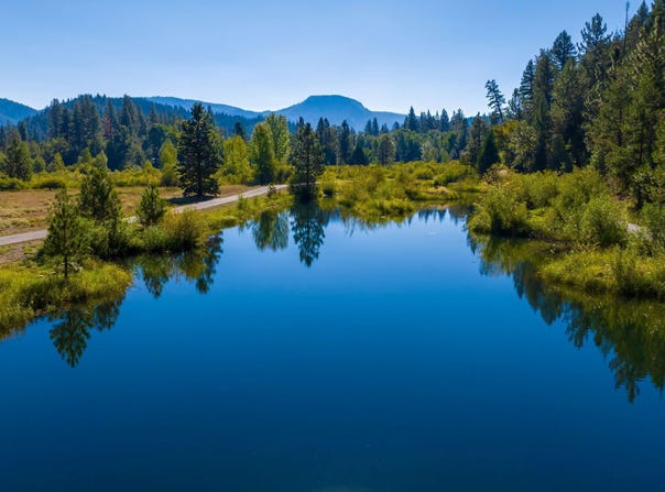 1000 Golden Feather Ranch Road, Graeagle, CA 96103