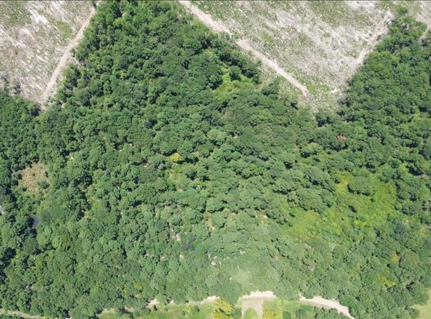 18.53AC County Road 3103, Call, TX 75933