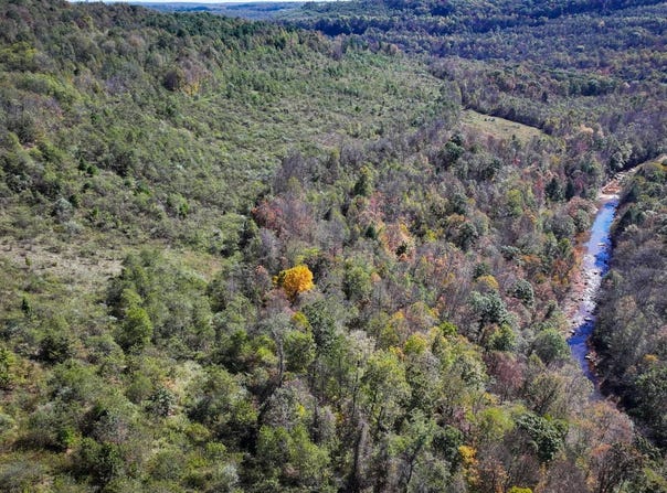 Fyock Dr, Windber, PA 15963