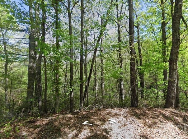 Buzzards Place, Lake Lure, NC 28746