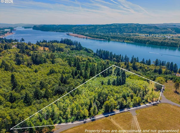 Old Tree Farm Dr, Longview, WA 98632