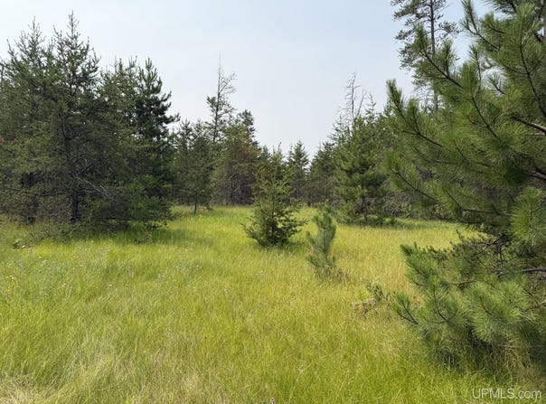 361 E M35 Highway, Gwinn, MI 49841