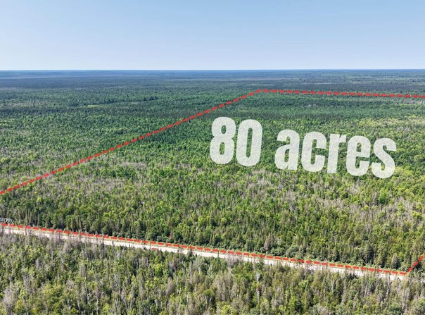 E N Co Rd 415, McMillan, MI 49853
