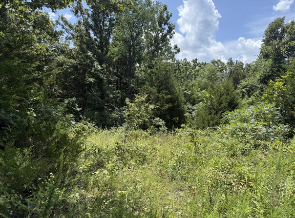Ranch Road, Willow Springs, MO 65793