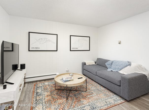 424 Park Circle, Aspen, CO 81611