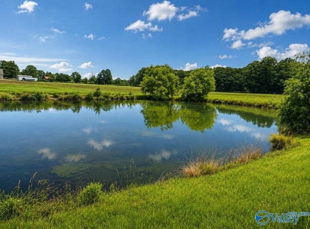 44 acres County Road 83, Centre, AL 35960