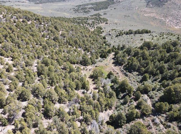 Pot creek Rd, Dinosaur, CO 81610