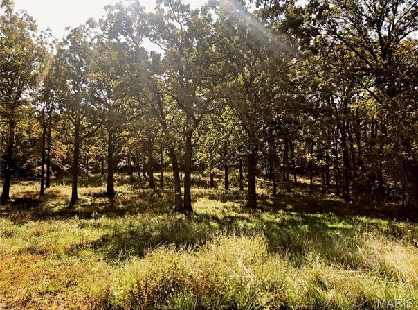 10240 County Road 3060, Rolla, MO 65401
