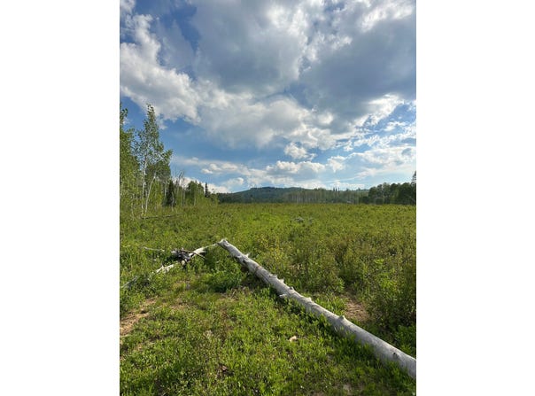 94 HILLTOP Ln, Fairview, UT 84629