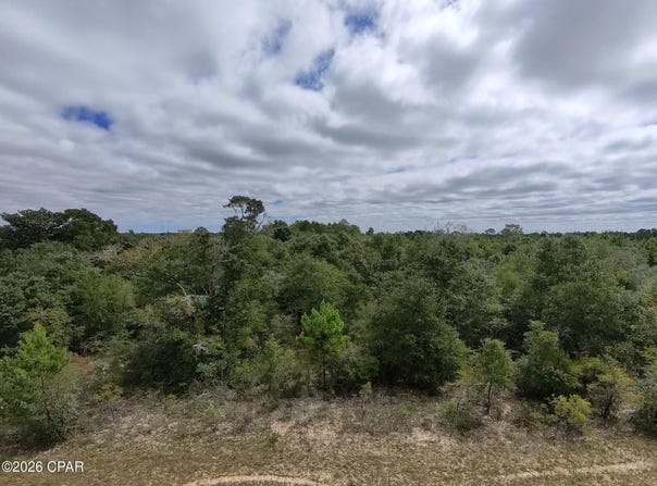 Deltona Boulevard lot: 2, Chipley, FL 32428