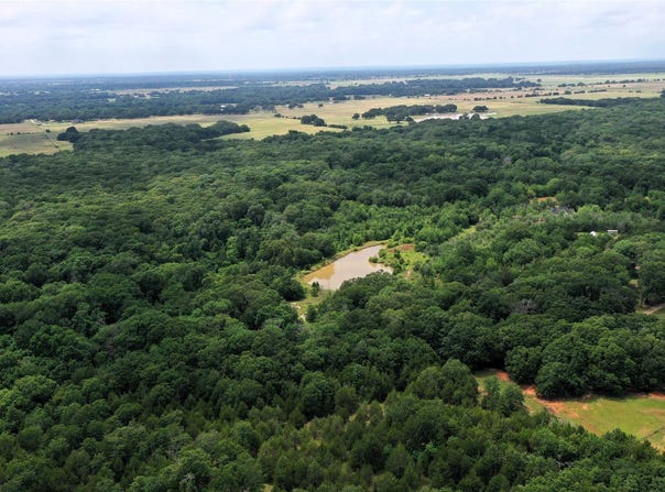 County Road 2620, Ivanhoe, TX 75447