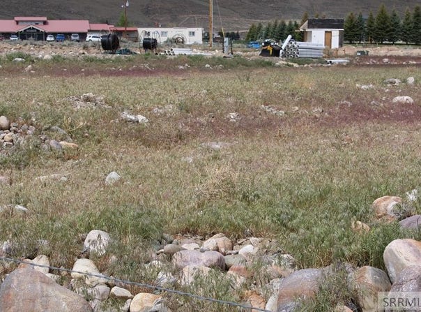 Highway 93, Challis, ID 83226