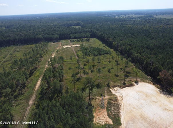 Sulphur Springs Road lot: 9, Canton, MS 39046