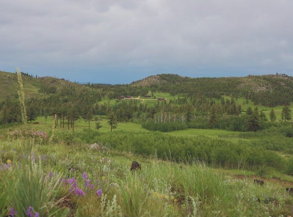 14884 Rist Canyon Rd, Bellvue, CO 80512