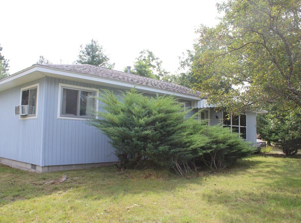 91 W Arthur Randall Drive, Mio, MI 48647