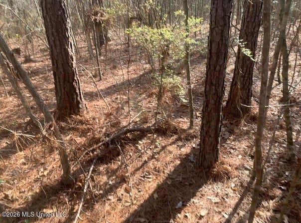 Pine Grove Lane, Wesson, MS 39191