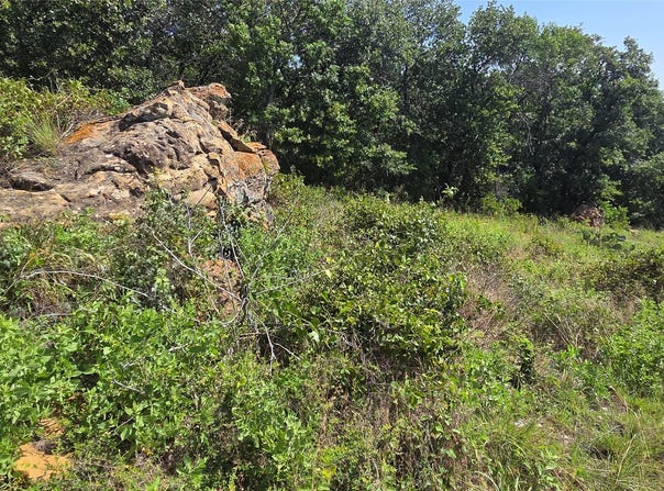 Nash RD, Jacksboro, TX 76458